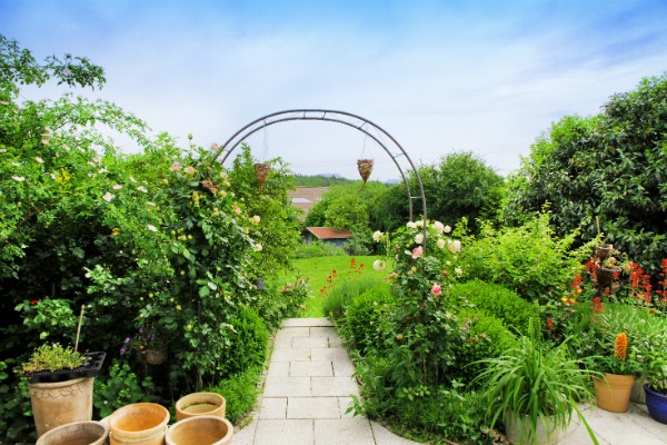 Gruener Landhausgarten im Sommer