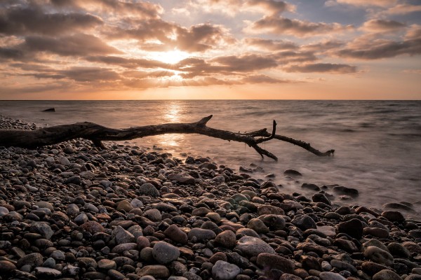 Treibholz an der Küste der Ostsee