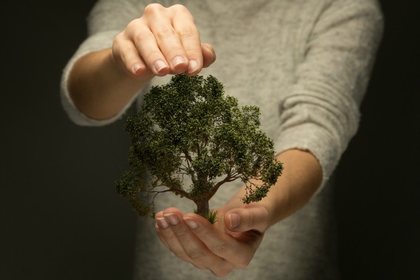 Person haelt Hand schuetzend ueber Baum