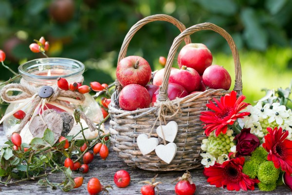 Herbstdekoration mit Laterne, Aepfel im Weidenkorb, Herbstblumen und Hagebutten