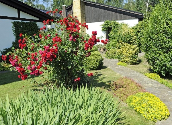 landhausgarten-rosen-garten-im-landhausstil