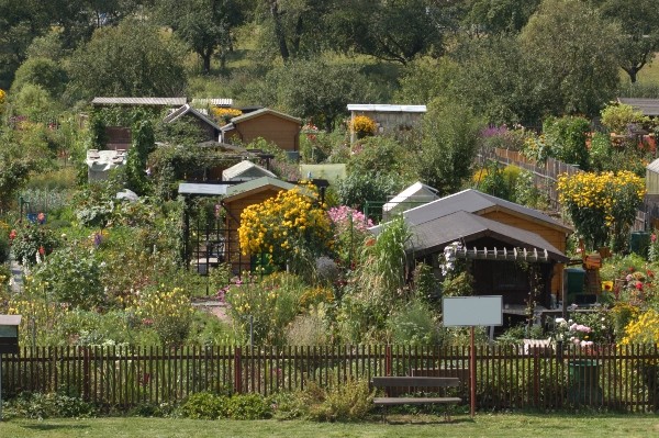 kleingartenanlage-schrebergarten-gestalten-kleingarten