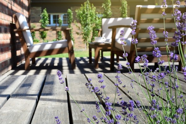 Teezeit im Provence-Stil auf der modernen Gartenterrasse