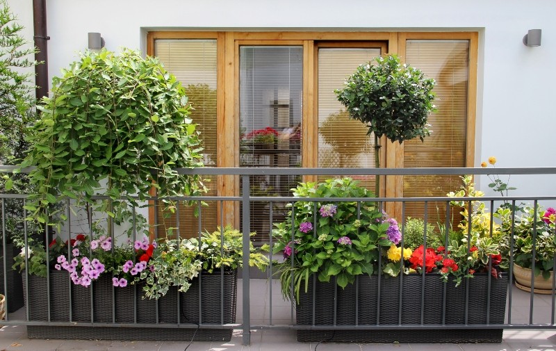 balkon-mit-vielen-blumen