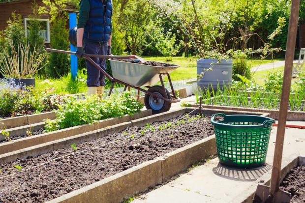 Garten mit verschiedenen Beeten