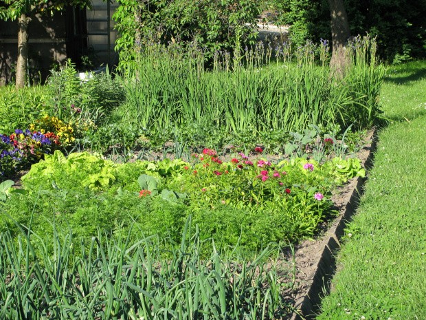 Gartenbeete mit unterschiedlichen Pflanzen