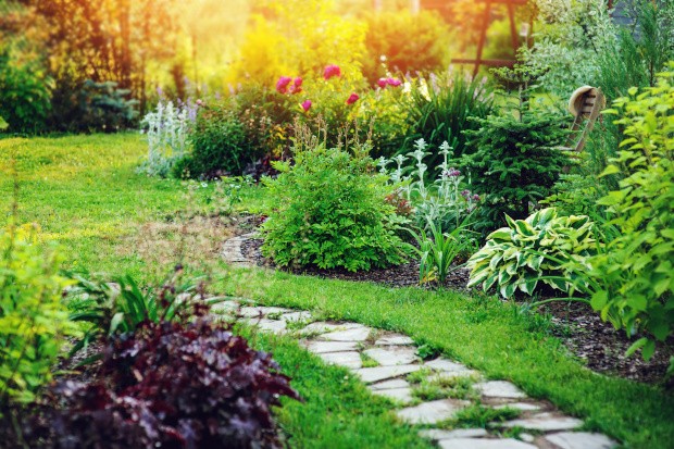 Garten mit Beeten und Wegen