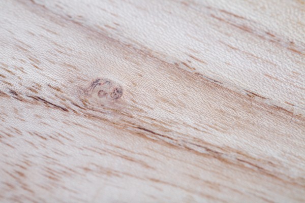 Blick auf das helle Holz der Robinie 