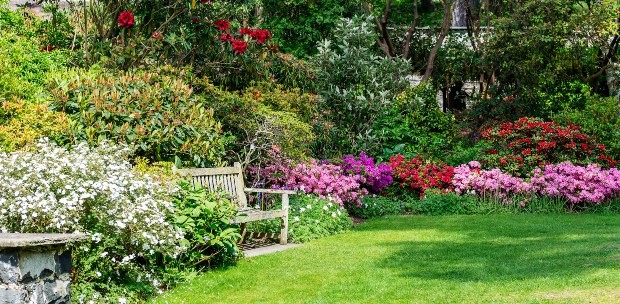 Schöner Garten mit Gartenbank - Englischen Garten anlegen
