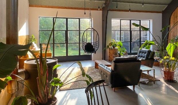 Elegantes Wohnzimmer mit Grünpflanzen