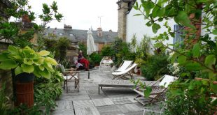 Dachterrasse und Dachgarten gestalten